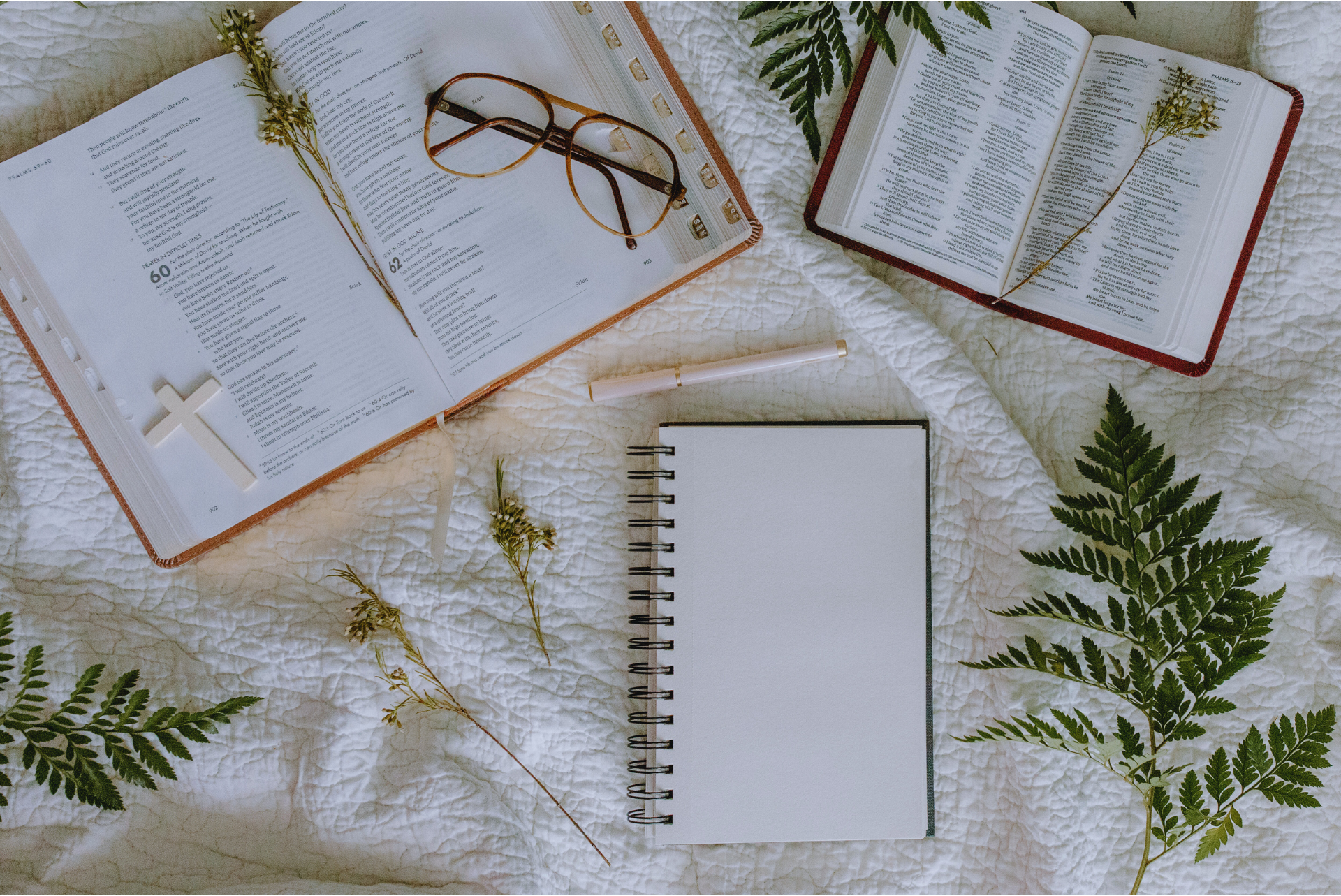 Como Estudar a Bíblia Sozinho: Um Caminho de Transformação Espiritual
