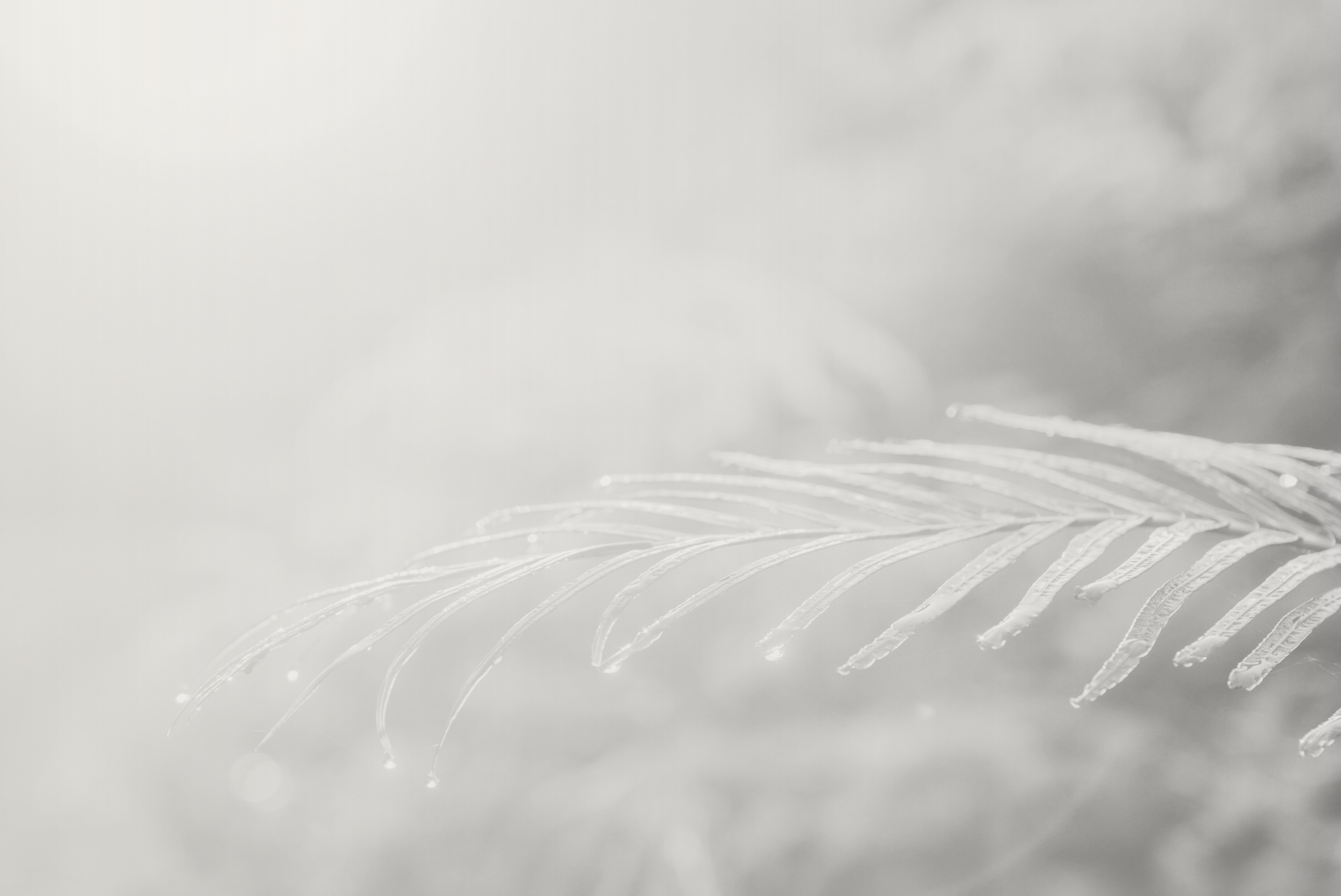 COMO CRIAR UMA ROTINA DEVOCIONAL DIÁRIA EM MEIO À VIDA CORRIDA